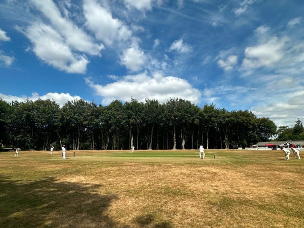 cricket-background-1200x900