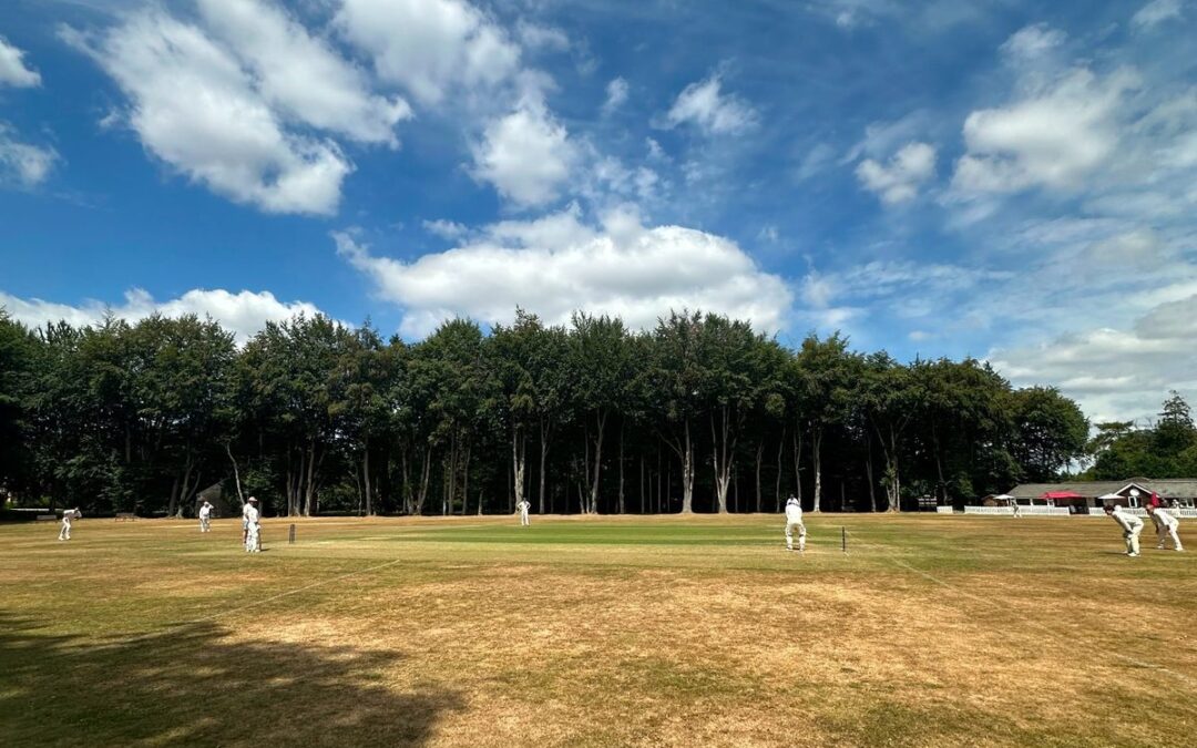 Lost Player, Lost Momentum: Salix Fall to Hetairoi