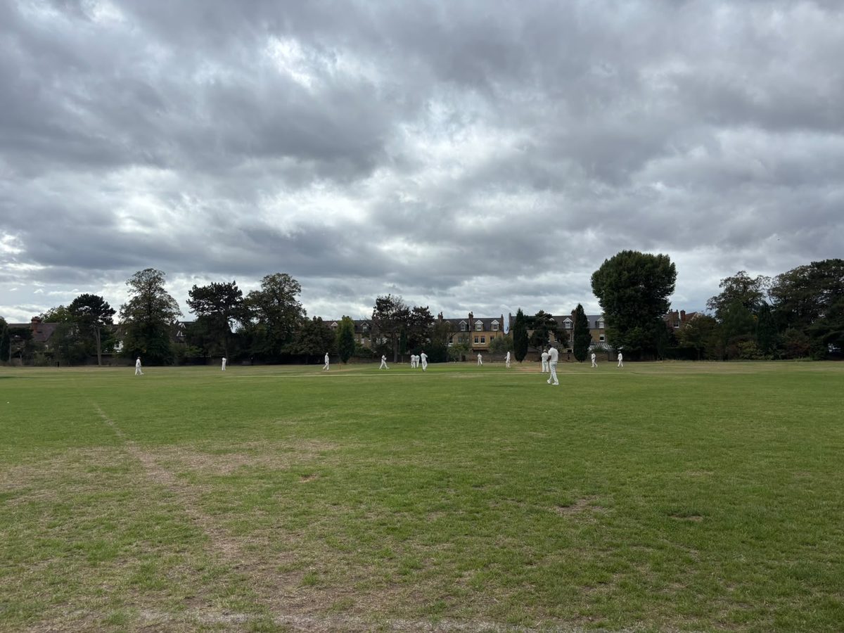 cricket_bg_1200x900